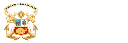DICAPI Logo